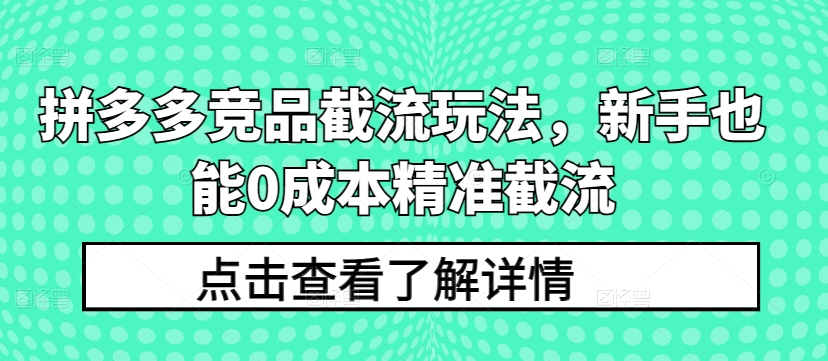 拼多多竞品截流玩法，新手也能0成本精准截流-紫橙资源网
