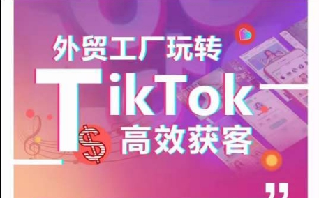 外贸工厂玩转TikTok高效获客，多种引流方式与账号定位技巧，拆解爆款短视频打造成功案例-紫橙资源网