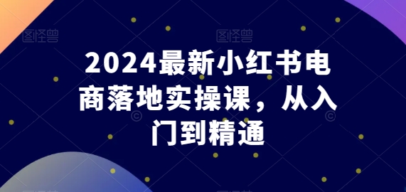 2024最新小红书电商落地实操课，从入门到精通-紫橙资源网