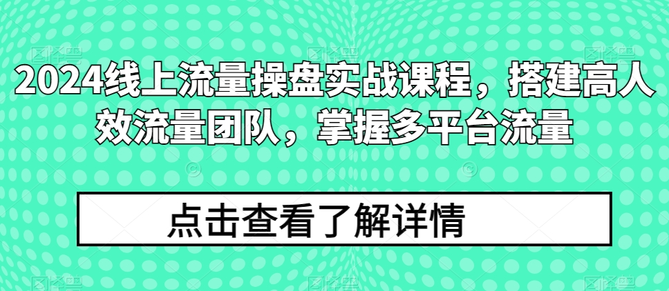 2024线上流量操盘实战课程，搭建高人效流量团队，掌握多平台流量-紫橙资源网