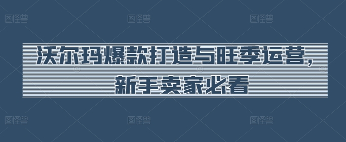 沃尔玛爆款打造与旺季运营,新手卖家必看-紫橙资源网