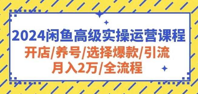 2024闲鱼高级实操运营课程：开店/养号/选择爆款/引流/月入2万/全流程-紫橙资源网