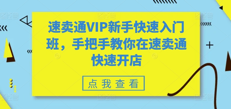速卖通VIP新手快速入门班，手把手教你在速卖通快速开店-紫橙资源网