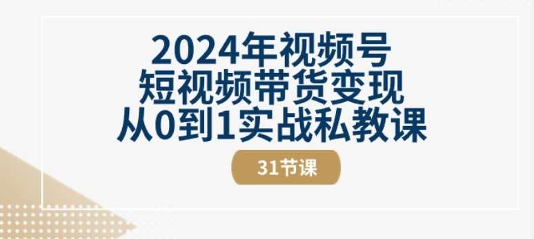2024年视频号短视频带货变现从0到1实战私教课(31节视频课)-紫橙资源网