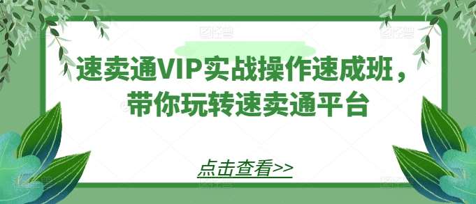 速卖通VIP实战操作速成班，带你玩转速卖通平台-紫橙资源网