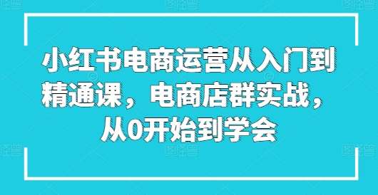 小红书电商运营从入门到精通课，电商店群实战，从0开始到学会-紫橙资源网