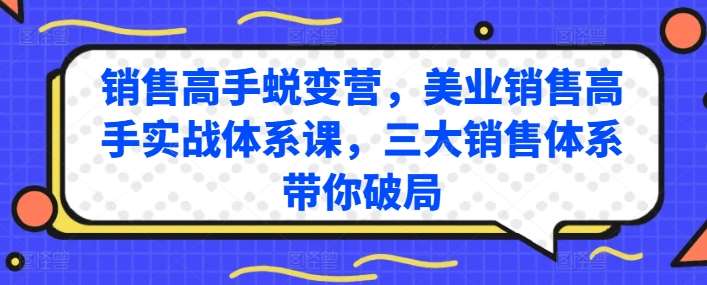 销售高手蜕变营，美业销售高手实战体系课，三大销售体系带你破局-紫橙资源网