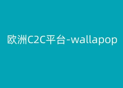 欧洲C2C平台-wallapop-kim跨境电商教程-紫橙资源网