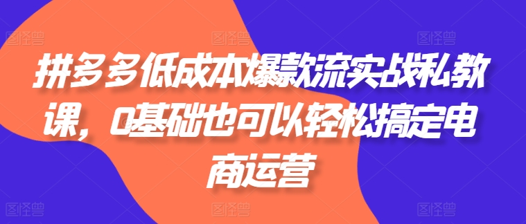 拼多多低成本爆款流实战私教课，0基础也可以轻松搞定电商运营-紫橙资源网