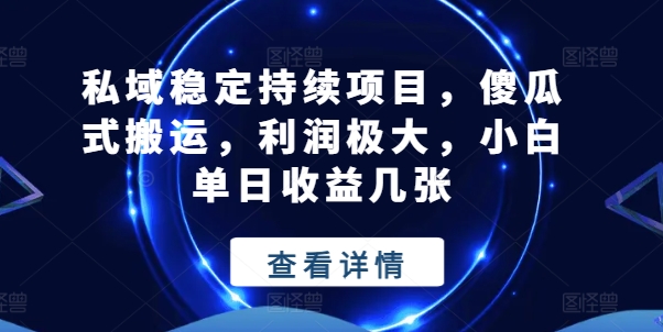 私域稳定持续项目，傻瓜式搬运，利润极大，小白单日收益几张-紫橙资源网