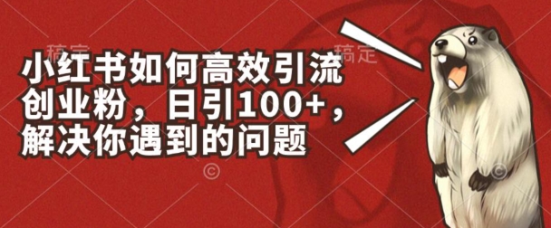 小红书如何高效引流创业粉,日引100+,解决你遇到的问题-紫橙资源网
