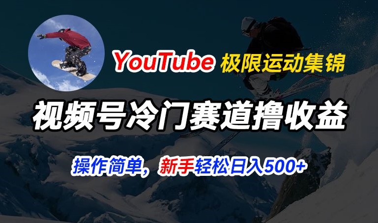 视频号冷门赛道撸收益，YouTube搬运极限运动集锦，暴力起号，操作简单流量高，轻松日入5张-紫橙资源网