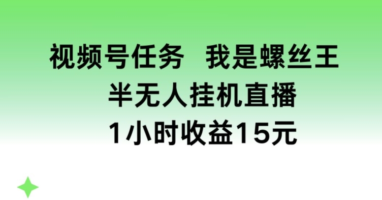 视频号任务，我是螺丝王， 半无人挂机1小时收益15元-紫橙资源网