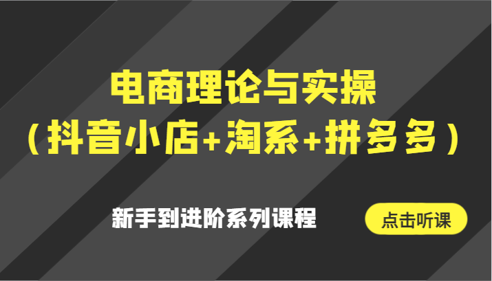 电商理论与实操新手到进阶系列课程-紫橙资源网