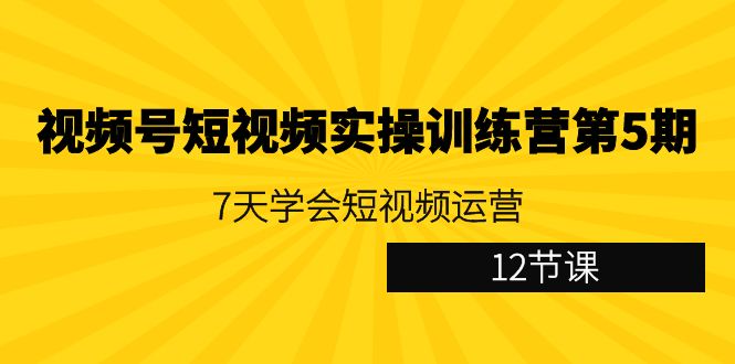 视频号短视频实操训练营第5期：7天学会短视频运营-紫橙资源网