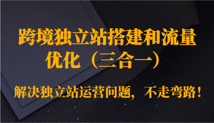 跨境独立站搭建和流量优化解决独立站运营问题，不走弯路！-紫橙资源网
