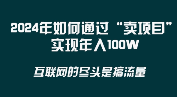 2024年 做项目不如‘卖项目’更快更直接！年入100万-紫橙资源网