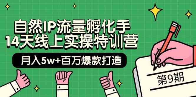 自然IP流量孵化手14天线上实操特训营【第9期】月入5w+百万爆款打造 (74节)-紫橙资源网