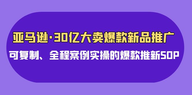 亚马逊30亿大卖爆款新品推广，可复制、全程案例实操的爆款推新SOP-紫橙资源网