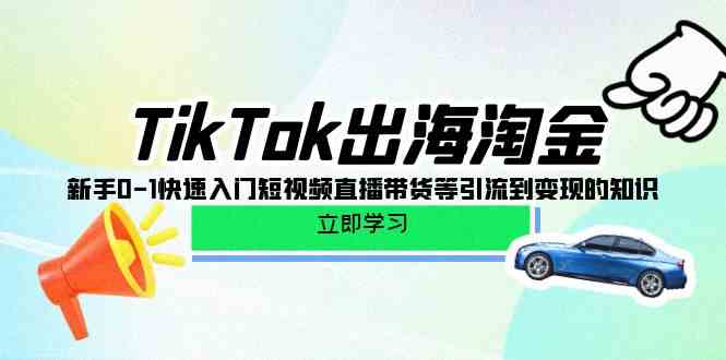 TikTok出海淘金，新手0-1快速入门短视频直播带货等引流到变现的知识-紫橙资源网