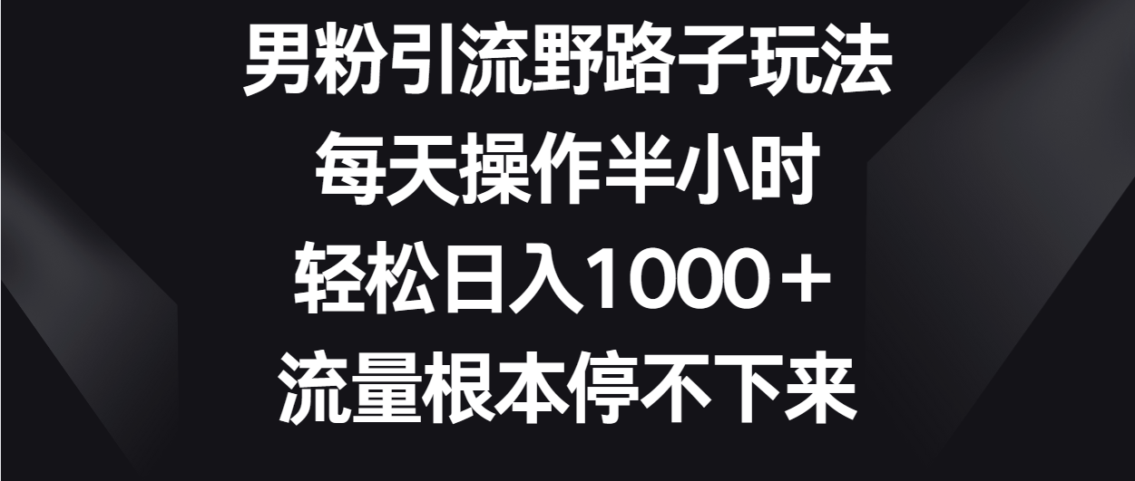 男粉引流野路子玩法，每天操作半小时轻松日入1000＋，流量根本停不下来-紫橙资源网