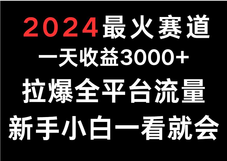 2024最火赛道，一天收一3000+.拉爆全平台流量，新手小白一看就会-紫橙资源网