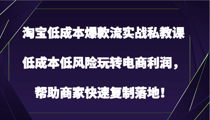淘宝低成本爆款流实战私教课，低成本低风险玩转电商利润，帮助商家快速复制落地！-紫橙资源网