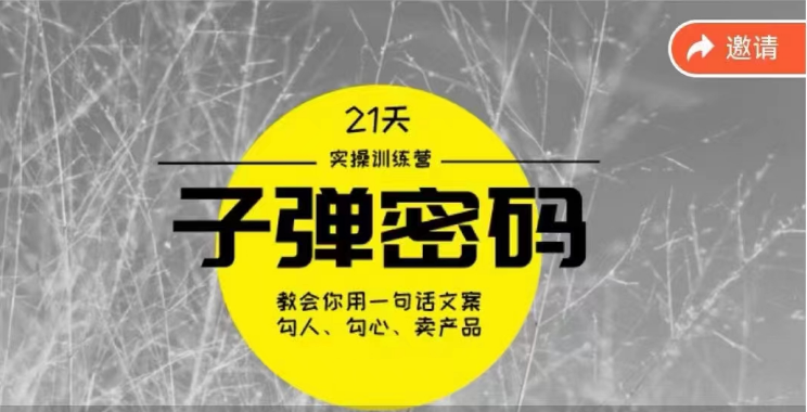《子弹密码训练营》用一句话文案勾人勾心卖产品，21天学到顶尖文案大师策略和技巧-紫橙资源网