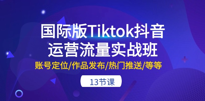 国际版Tiktok抖音运营流量实战班：账号定位/作品发布/热门推送/等等-紫橙资源网