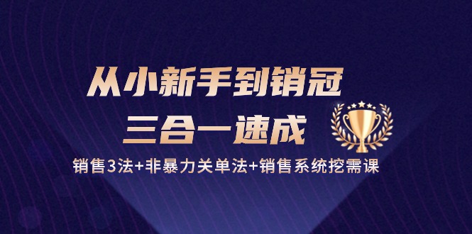 从小新手到销冠三合一速成：销售3法+非暴力关单法+销售系统挖需课 (27节)-紫橙资源网