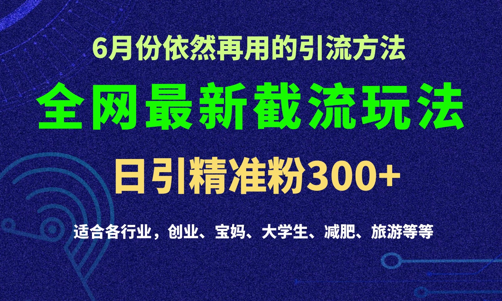 2024全网最新截留玩法，每日引流突破300+-紫橙资源网