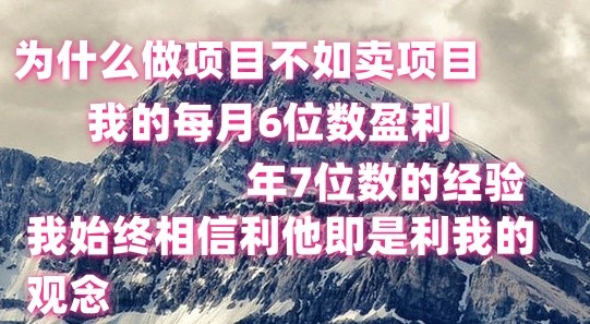 做项目不如卖项目，每月6位数盈利，年7位数经验-紫橙资源网