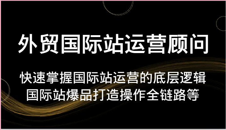 外贸国际站运营顾问-快速掌握国际站运营的底层逻辑，国际站爆品打造操作全链路等-紫橙资源网