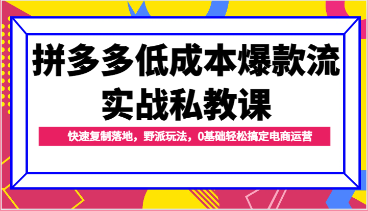拼多多低成本爆款流实战私教课，快速复制落地，野派玩法，0基础轻松搞定电商运营-紫橙资源网