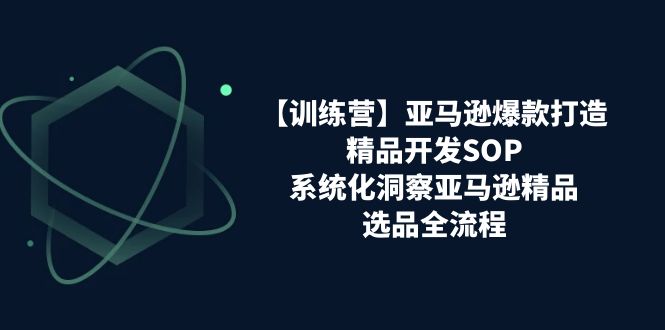 亚马逊爆款打造之精品开发SOP【训练营】，系统化洞察亚马逊精品选品全流程-紫橙资源网