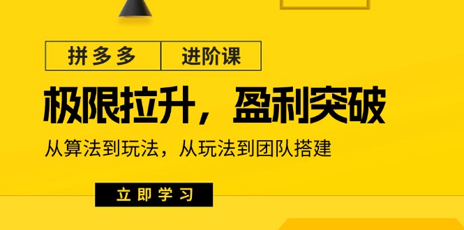 拼多多进阶课：极限拉升/盈利突破：从算法到玩法 从玩法到团队搭建-紫橙资源网