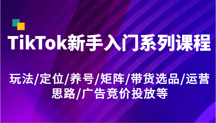 TikTok新手入门系列课程，玩法/定位/养号/矩阵/带货选品/运营思路/广告竞价投放等-紫橙资源网