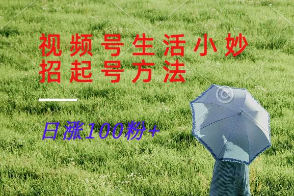 视频号生活小妙招分享赛道， 起号涨粉新方法，日涨100粉-紫橙资源网