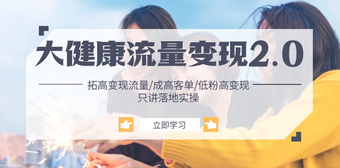 大健康 流量 变现2.0：拓高变现 流量/成高客单/低粉高变现/只讲落地实战-紫橙资源网