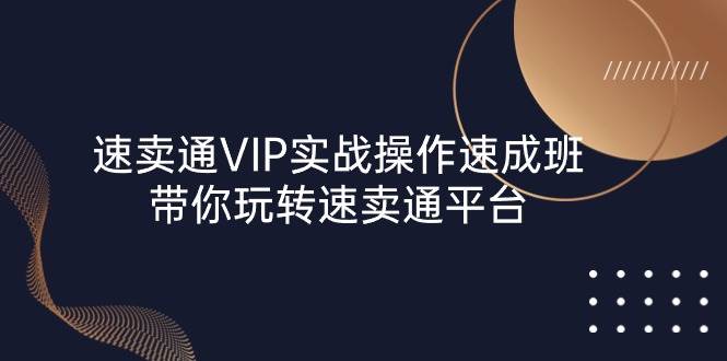 速卖通 VIP实战操作-速成班，带你玩转速卖通平台（23节）-紫橙资源网