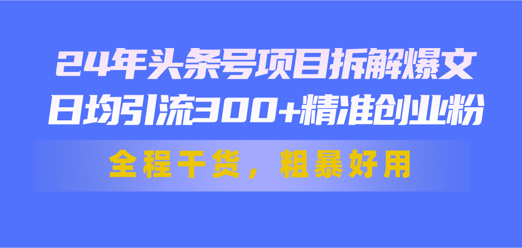24年头条号项目拆解爆文，日均引流300+精准创业粉，全程干货，粗暴好用-紫橙资源网
