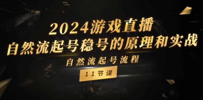 2024游戏直播-自然流起号稳号的原理和实战，自然流起号流程（11节）-紫橙资源网