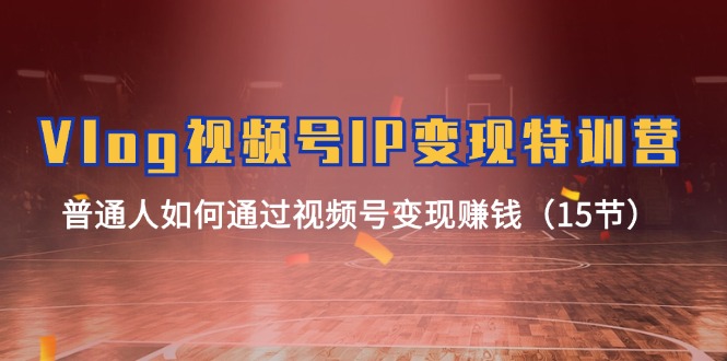 Vlog 视频号IP变现特训营，普通人如何通过视频号变现赚钱（15节）-紫橙资源网