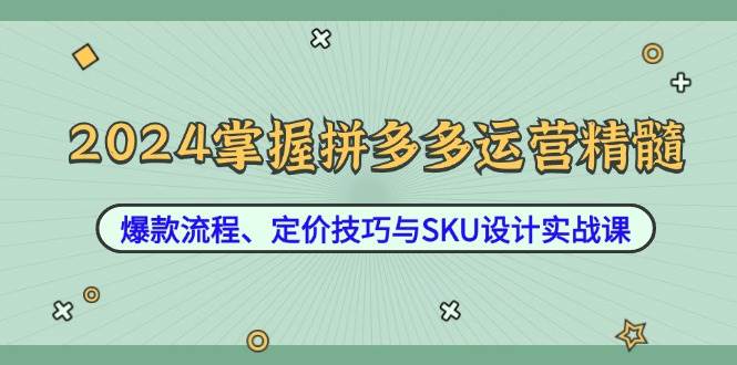 2024掌握拼多多运营精髓：爆款流程、定价技巧与SKU设计实战课-紫橙资源网