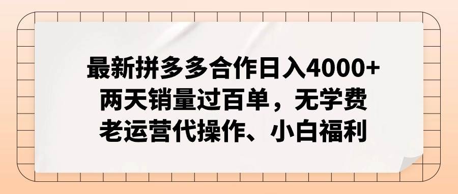 拼多多最新合作日入4000+两天销量过百单，无学费、老运营代操作、小白福利-紫橙资源网