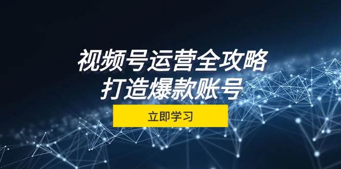 视频号运营全攻略，从定位到成交一站式学习，视频号核心秘诀，打造爆款...-紫橙资源网