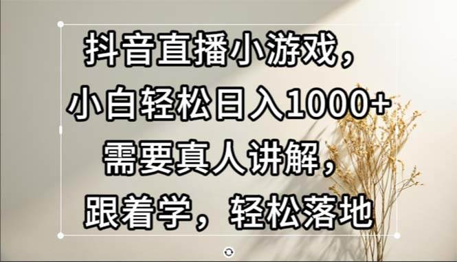 抖音直播小游戏，小白轻松日入1000+需要真人讲解，跟着学，轻松落地-紫橙资源网