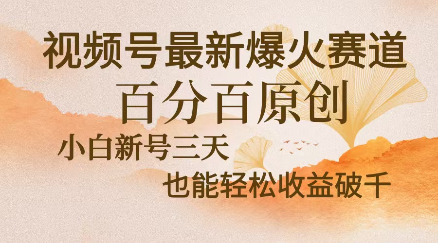 视频号最新爆火赛道，中老年粉深信不疑，百分百原创，新号三天收益轻松...-紫橙资源网