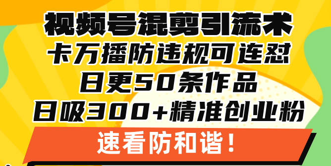 视频号混剪引流技术，500万播放引流17000创业粉，操作简单当天学会-紫橙资源网