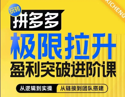 拼多多极限拉升盈利突破进阶课,从算法到玩法,从玩法到团队搭建,体系化系统性帮助商家实现利润提升-紫橙资源网